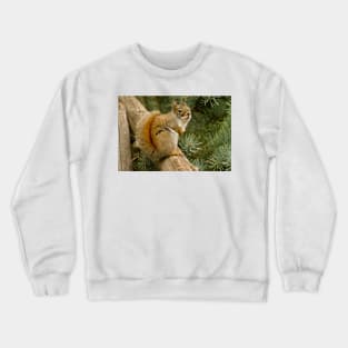 Red Squirrel Crewneck Sweatshirt